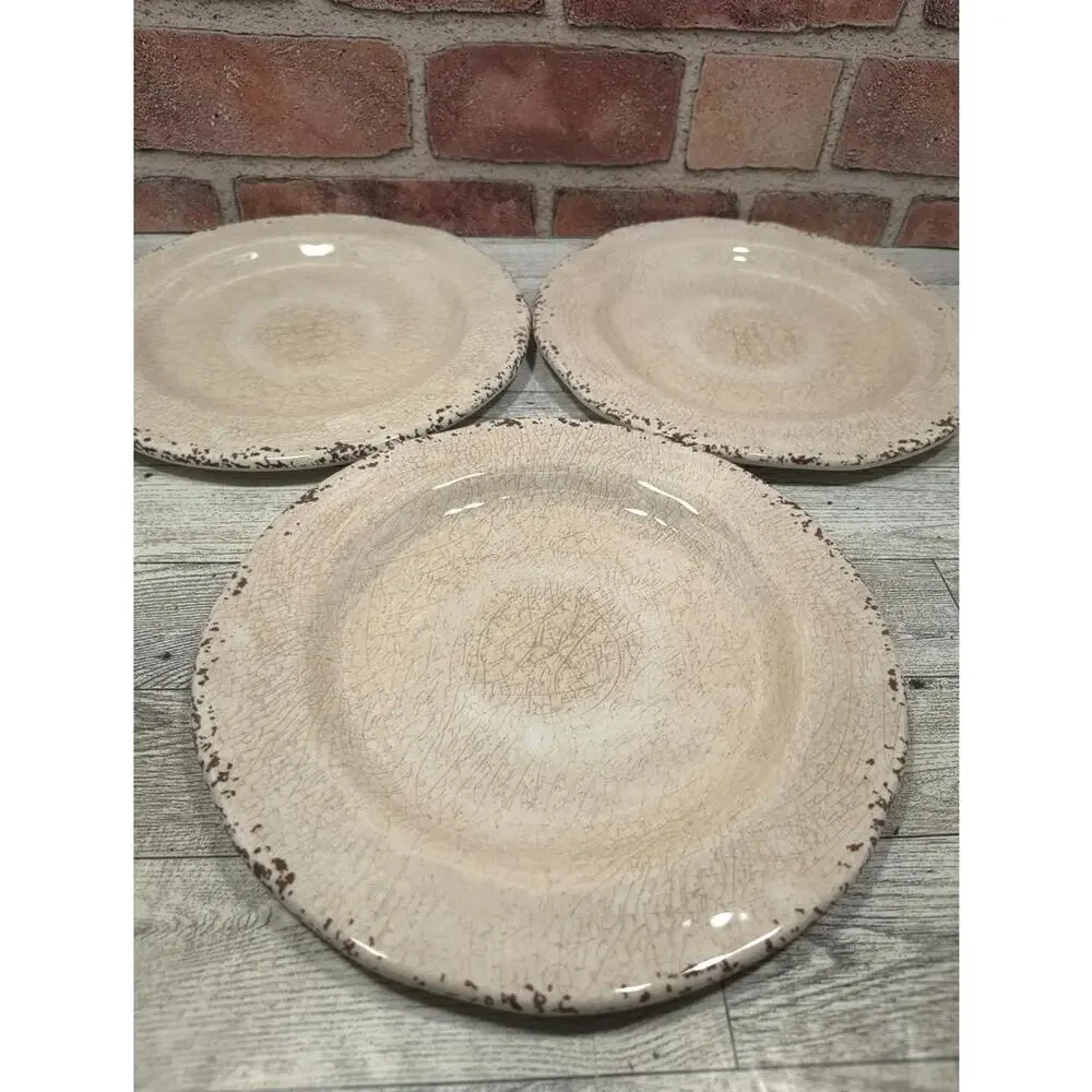 3 Piece PIER 1 Carmelo Melamine Plates 8.9